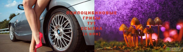 стафф Кинешма