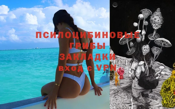 стафф Кинешма