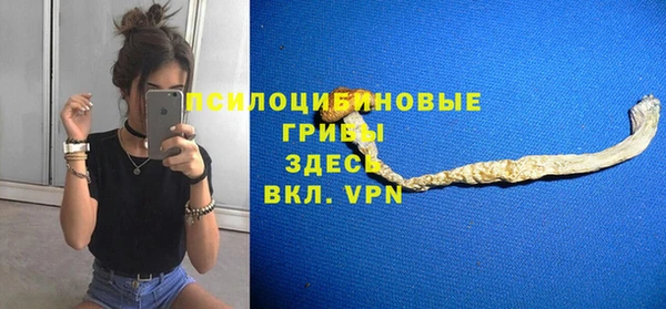 стафф Кинешма