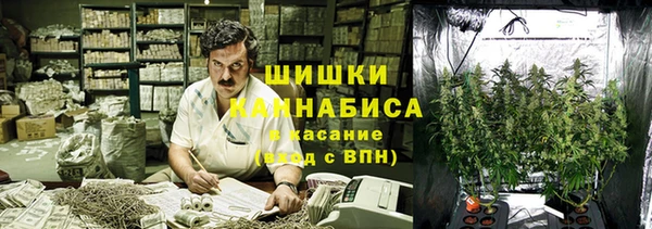стафф Кинешма