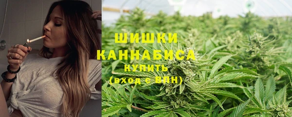 стафф Кинешма