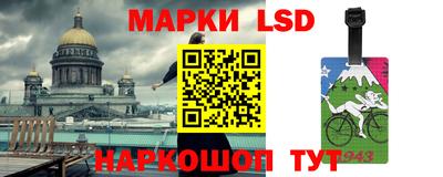 индика Гай