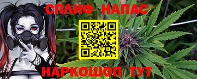 индика Гай