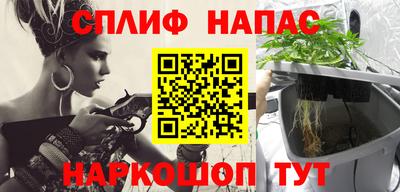 кокс Гатчина