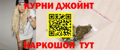 индика Гай