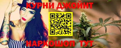кокс Гатчина