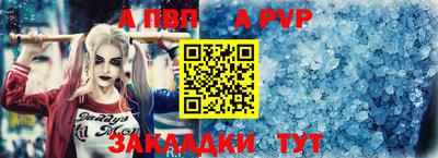 кокс Гатчина