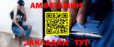 кокс Гатчина