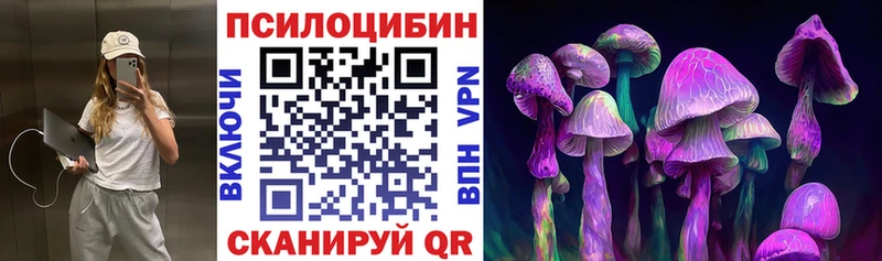 купить  цена  Калуга  Псилоцибиновые грибы Cubensis 